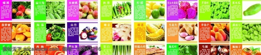蔬果营养介绍 蔬果营养 营养介绍 水果营养介绍 营养介绍展板