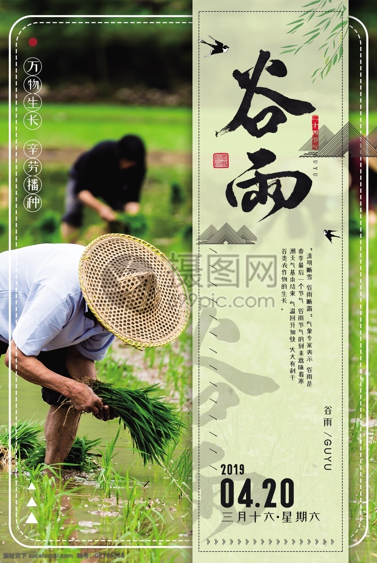 中国 传统 二十四节气 谷雨 海报 中国传统 24节气 插秧 播种 农民 节日海报