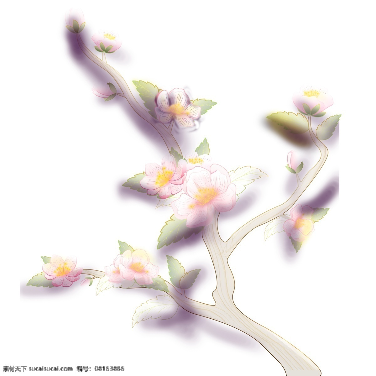 透明 质感 植物 樱花 创意 花卉 透明质感 插画