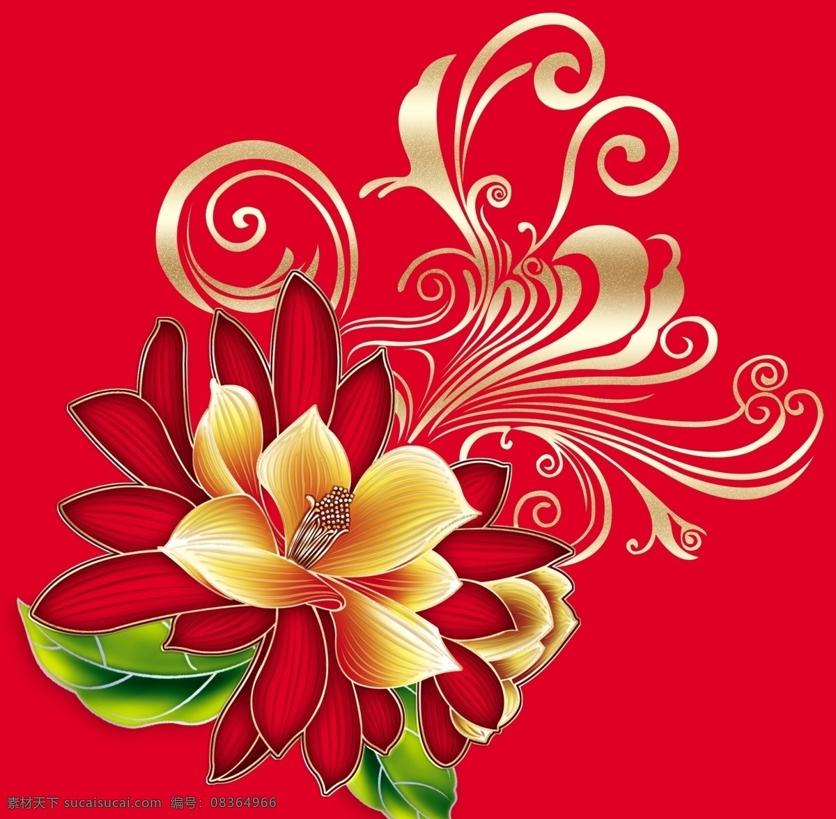 牡丹花 牡丹 花 花朵 大牡丹花朵