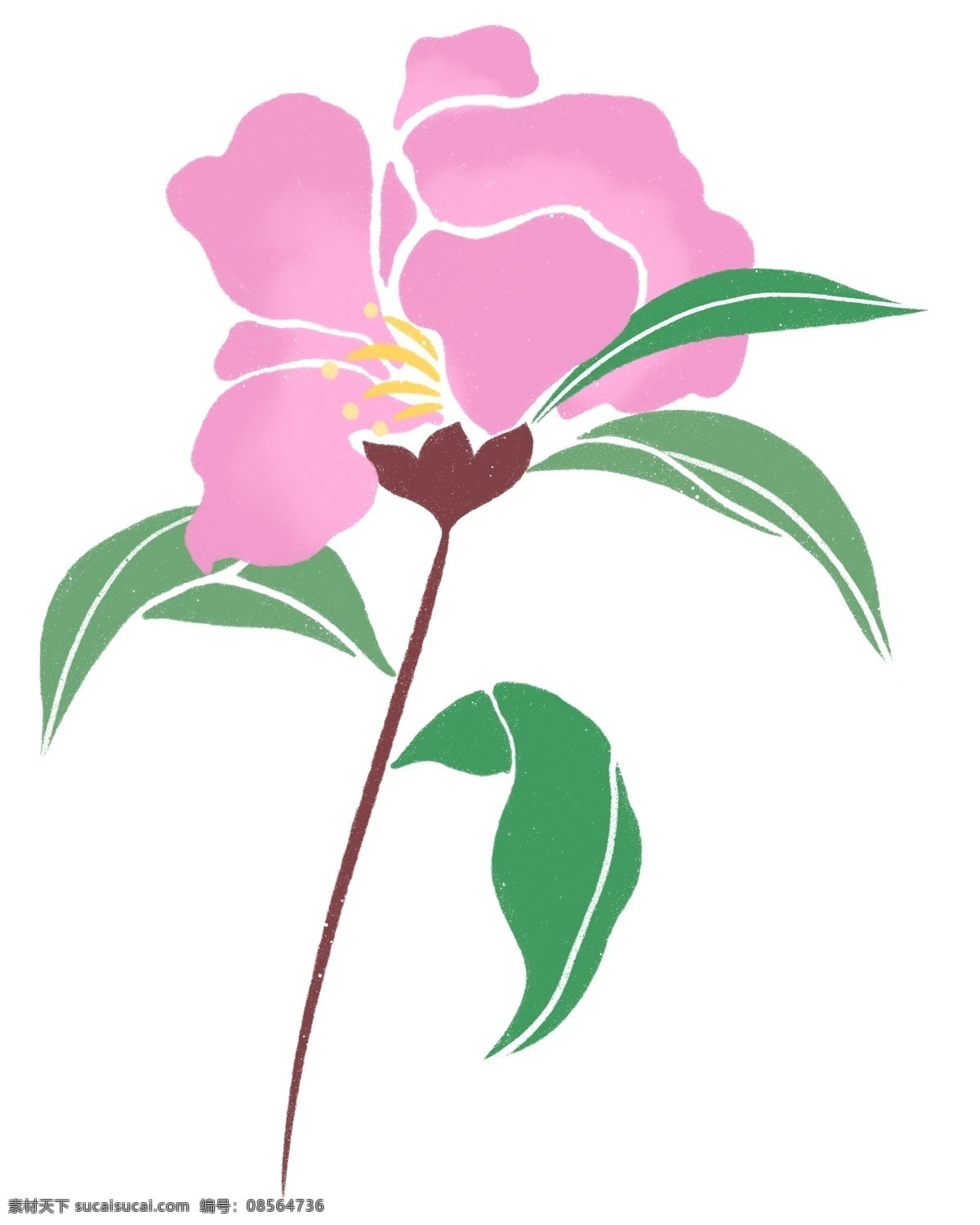 粉色 春天 花枝 插画 唯美 花朵 卡通植物插画 粉色花朵 花卉 创意植物 绿色的叶子 春天花枝插画