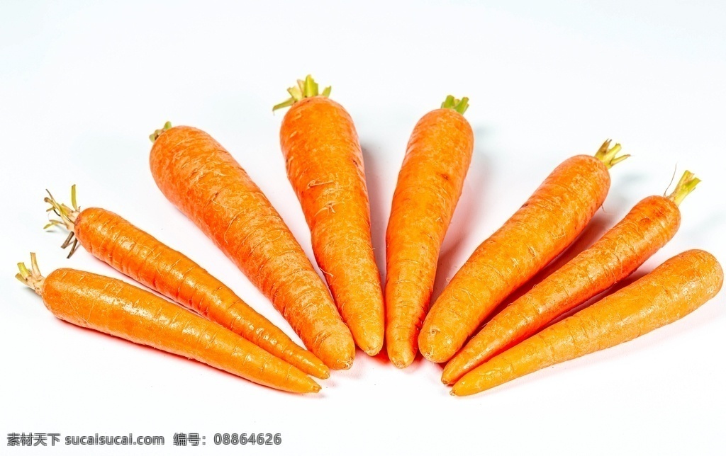 胡萝卜 摄影图片 瓜果蔬菜 水果 时鲜水果 食材摄影 餐饮美食摄影 蔬菜瓜果摄影 料理摄影 食物摄影 美食摄影 餐饮美食 饮料酒水