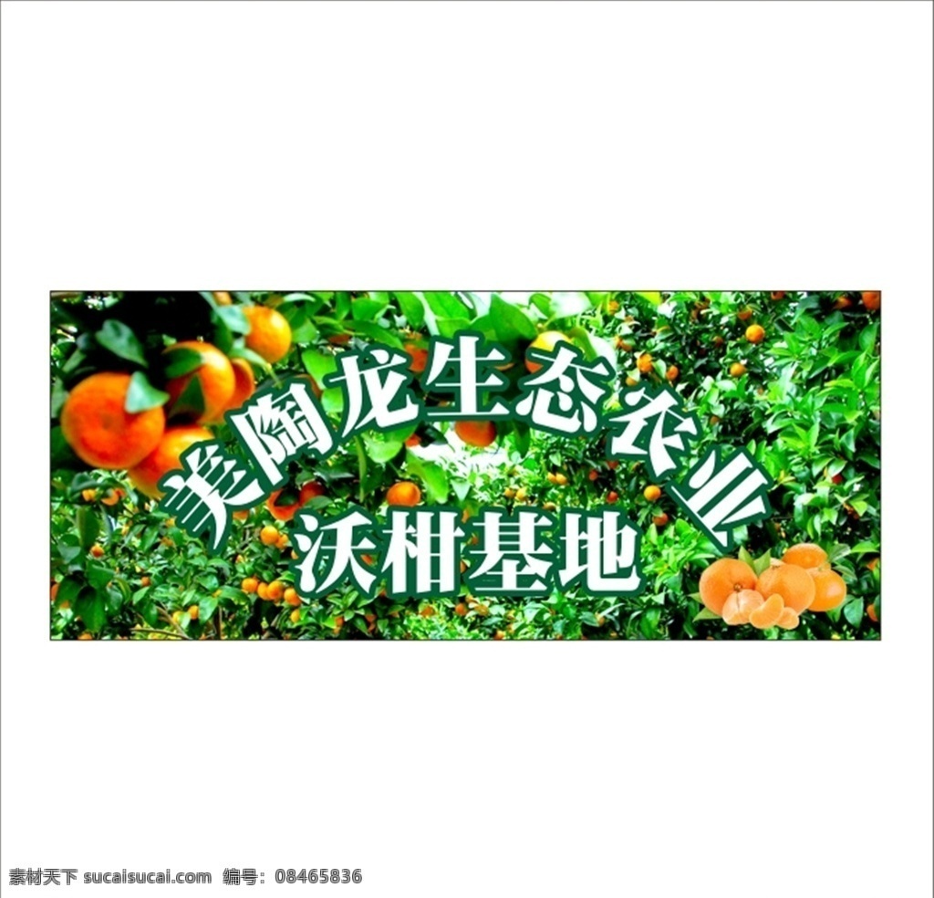 沃柑 柑橘 橘子 绿色 水果