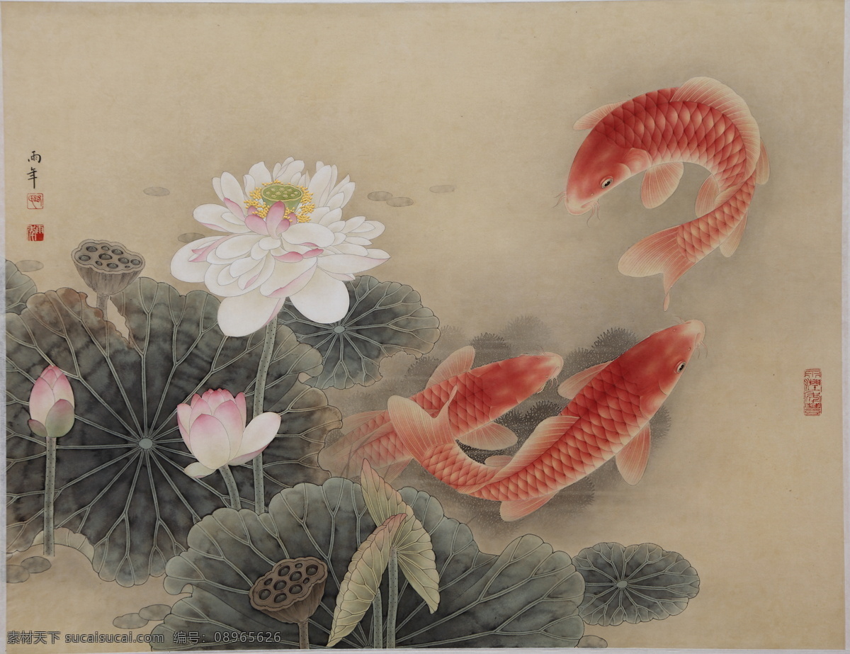 路雨年工笔画 路雨年 工笔画 工笔鱼 红鱼 花鸟 工笔花鸟 绘画 荷花 荷花鱼 鱼 金鱼 鲤鱼 锦鲤 美术 国画 生物世界 鱼类