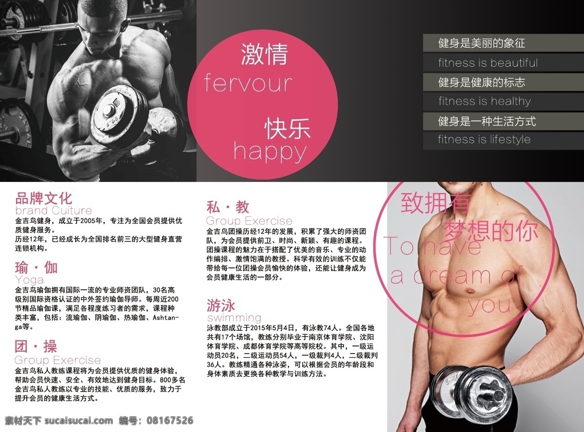 金吉 鸟 健身 三 折页 三折页 模版
