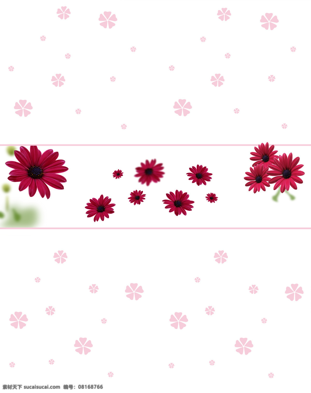 背景 背景底纹 底纹边框 红色 花 花朵 花朵移门 移门 模板下载 设计素材 移门图 移门图库 菊花 腰线 花朵腰线 野菊秋思 野菊花 移门画册 移门图案 其他画册封面