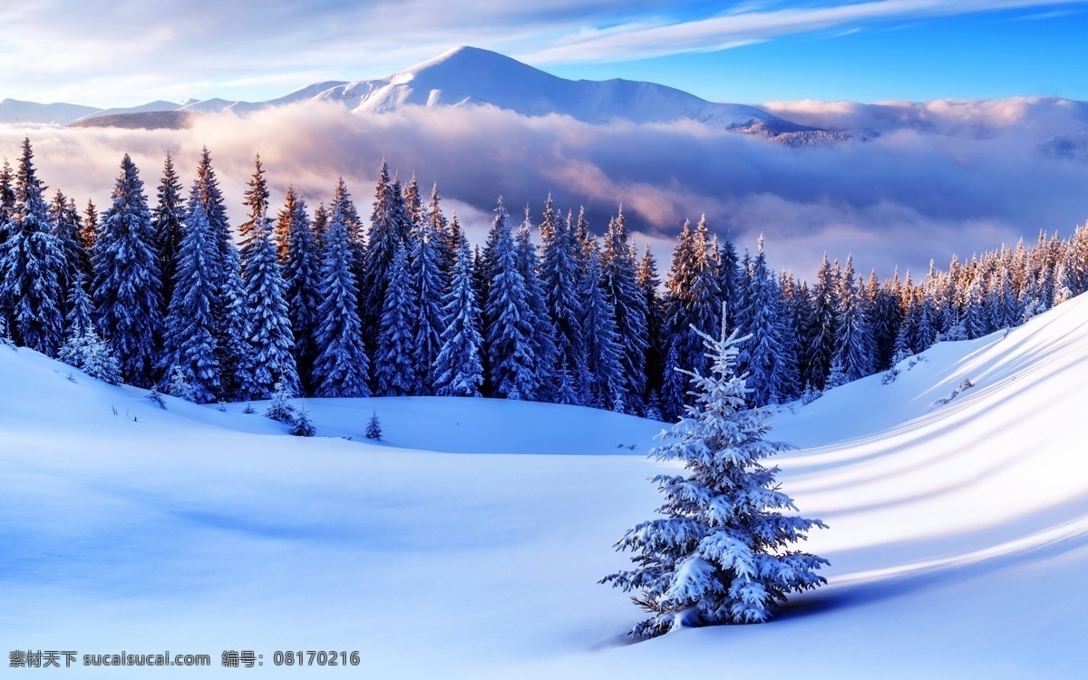 冬季 小 清新 风景 唯美 小清新 大自然 自然风光 自然景观 自然风景