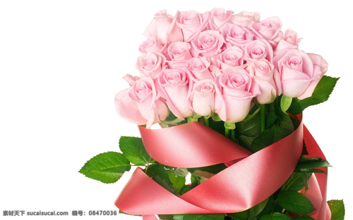 浪漫 粉色 玫瑰 花束 花 花草 捧花