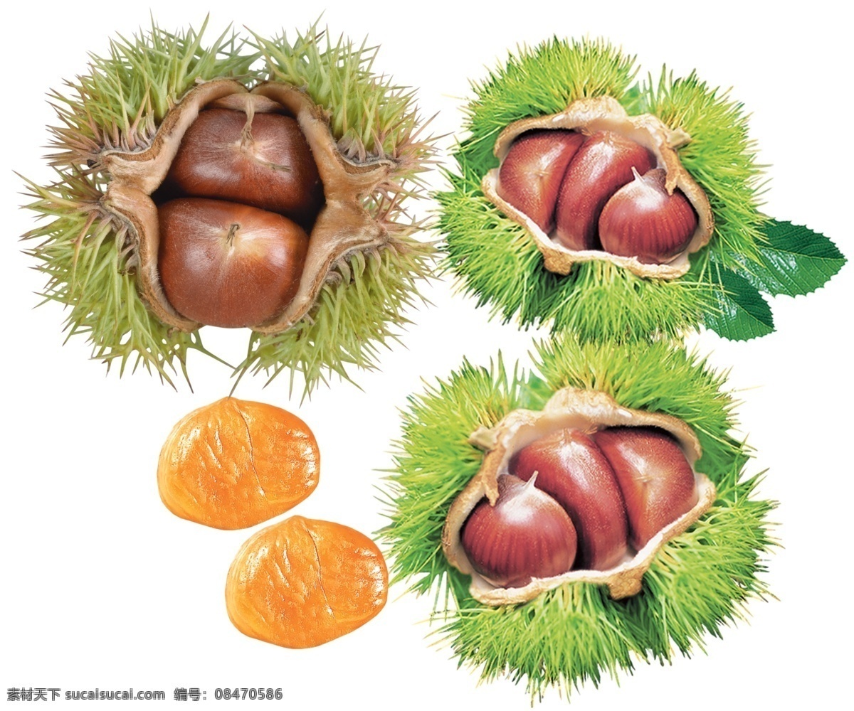 板栗分层素材 板栗 栗子 栗仁 带皮的栗子 干果 分层 源文件库 300