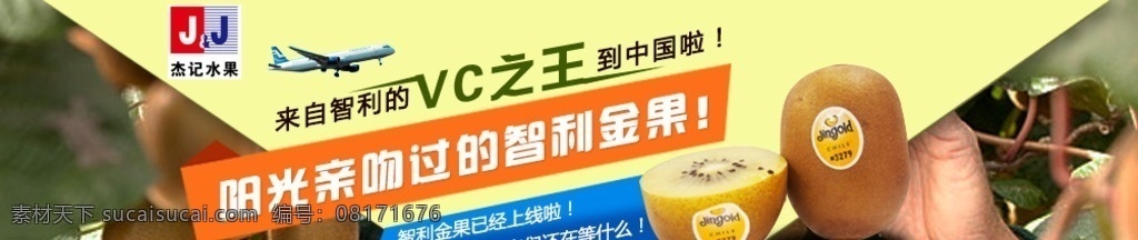 智利金果 智利 金果 猕猴桃 奇异果 分层