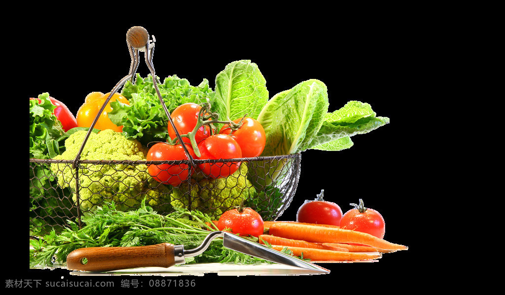 堆 新鲜 蔬菜 免 抠 透明 图 层 一堆新鲜蔬菜 新鲜蔬菜肉 新鲜蔬菜大图 当日新鲜蔬菜 厨房新鲜蔬菜 蔬菜瓜果图片 各种蔬菜瓜果 各种新鲜蔬菜 绿色新鲜蔬菜