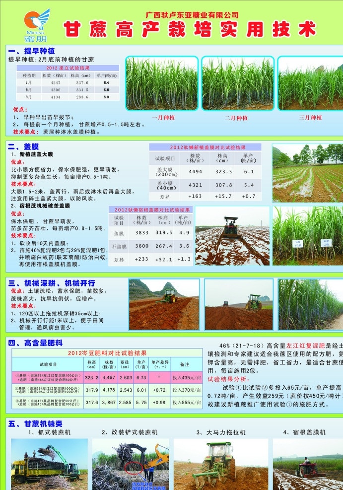 甘蔗小报 种植 高产 种植技术 肥料 其他生物 生物世界 矢量