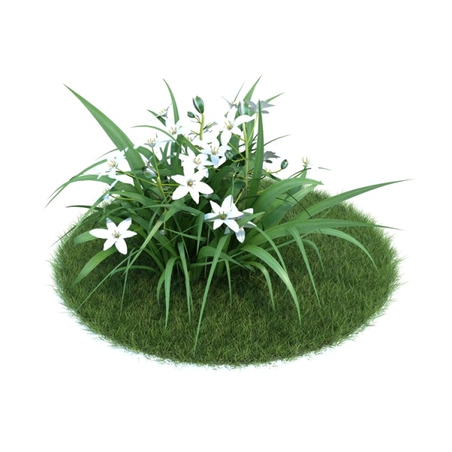 植物 模型 白色 叶子 3d模型素材 动植物模型