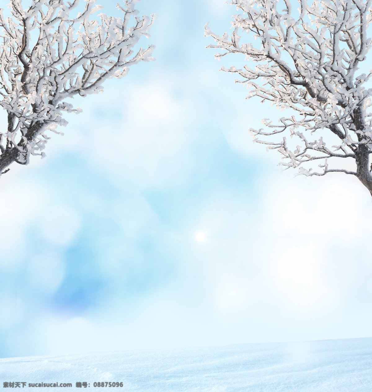 梦幻 圣诞节 背景 冬天背景 冬季背景 冬天雪景 雪地 梦幻背景 圣诞节背景 冬天的树木 自然风景 自然景观 白色