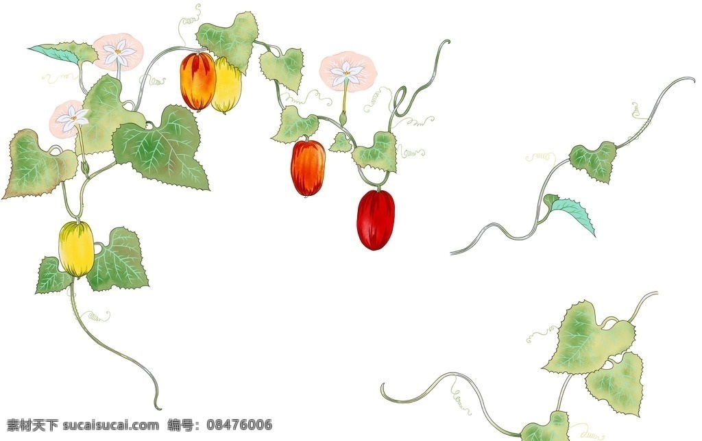 小 清新 水彩 藤蔓 瓜果 花朵 小清新 唯美 淡雅 彩绘 蔬菜 牵牛花 绿叶 psd分层图 素材图 分层