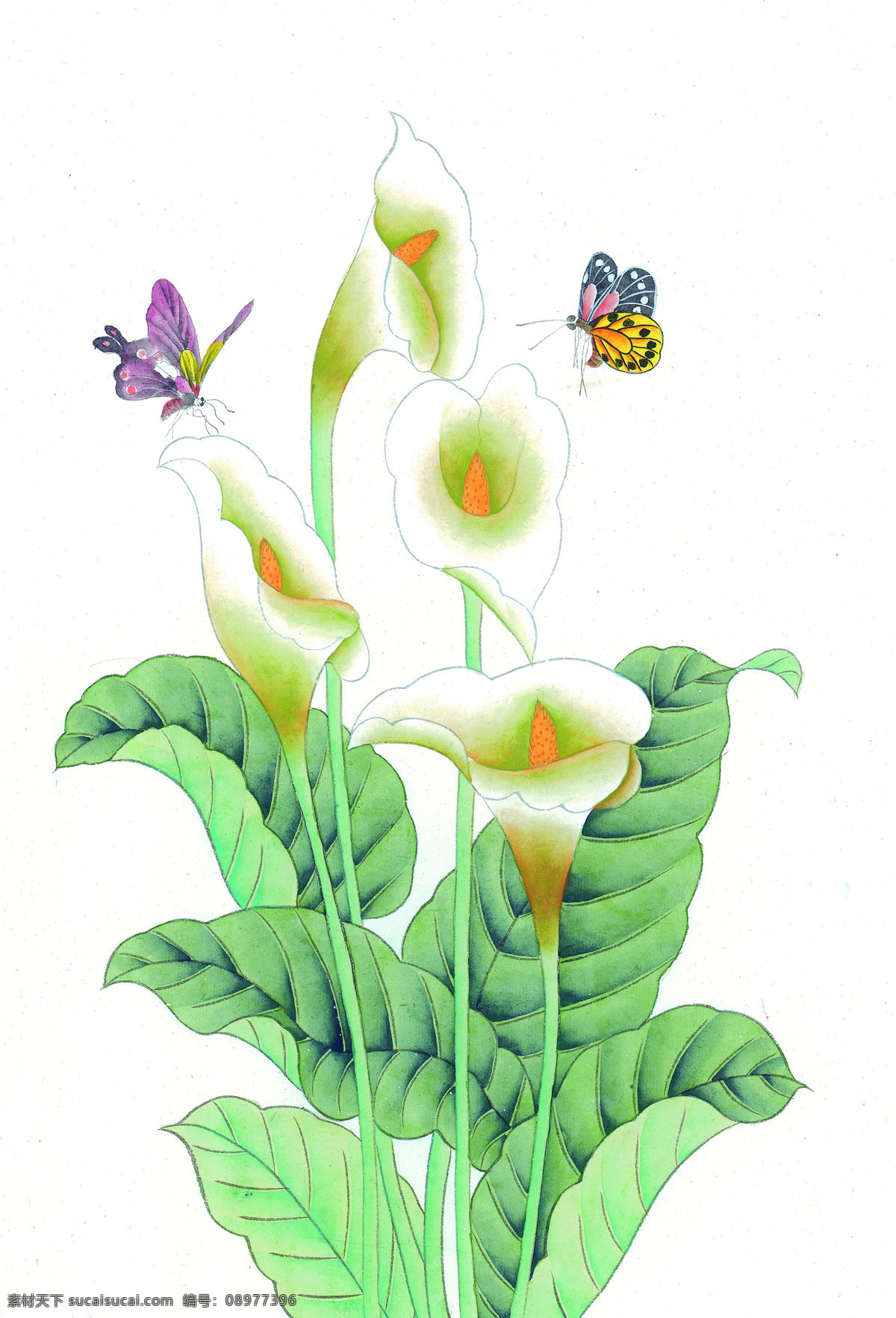 花鸟国画 国画素材 工笔画 绘画 白描 文化艺术 绘画书法