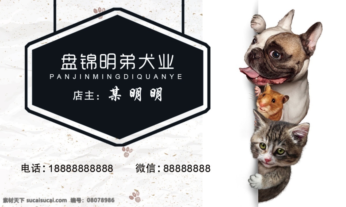 宠物名片 宠物 猫 狗 名片 分层