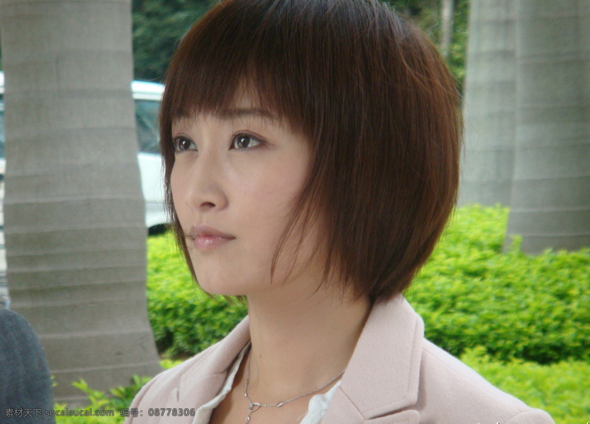 赵子琪 明星 演员 主持人 美女 明星偶像 人物图库