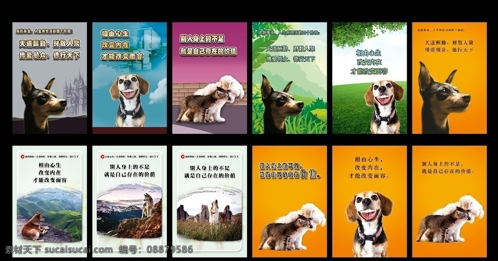 小狗海报 小狗挂画 小狗 宠物壁纸 绿色背景 宠物海报 笔刷 海报