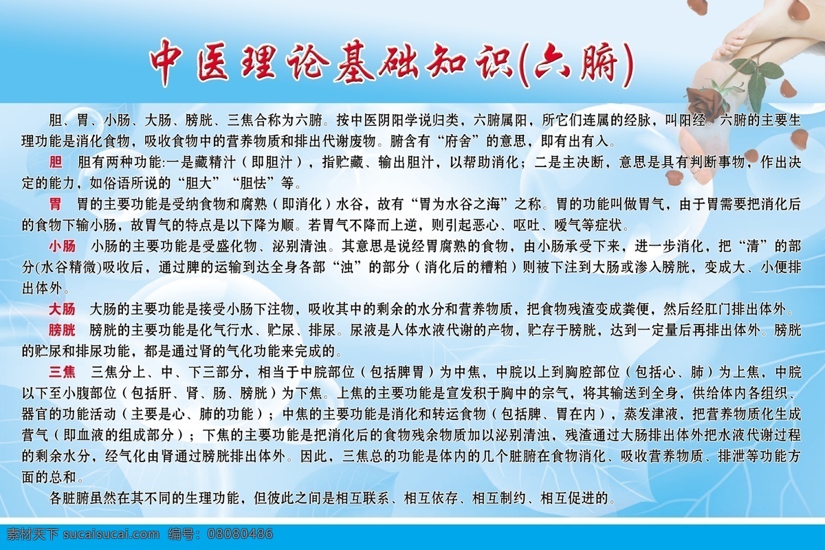 广告设计模板 胃 源文件 展板模板 中医理论知识 六脏素材下载 六脏模板下载 六脏 胆 小肠 大肠 膀胱 三焦 海报 其他海报设计