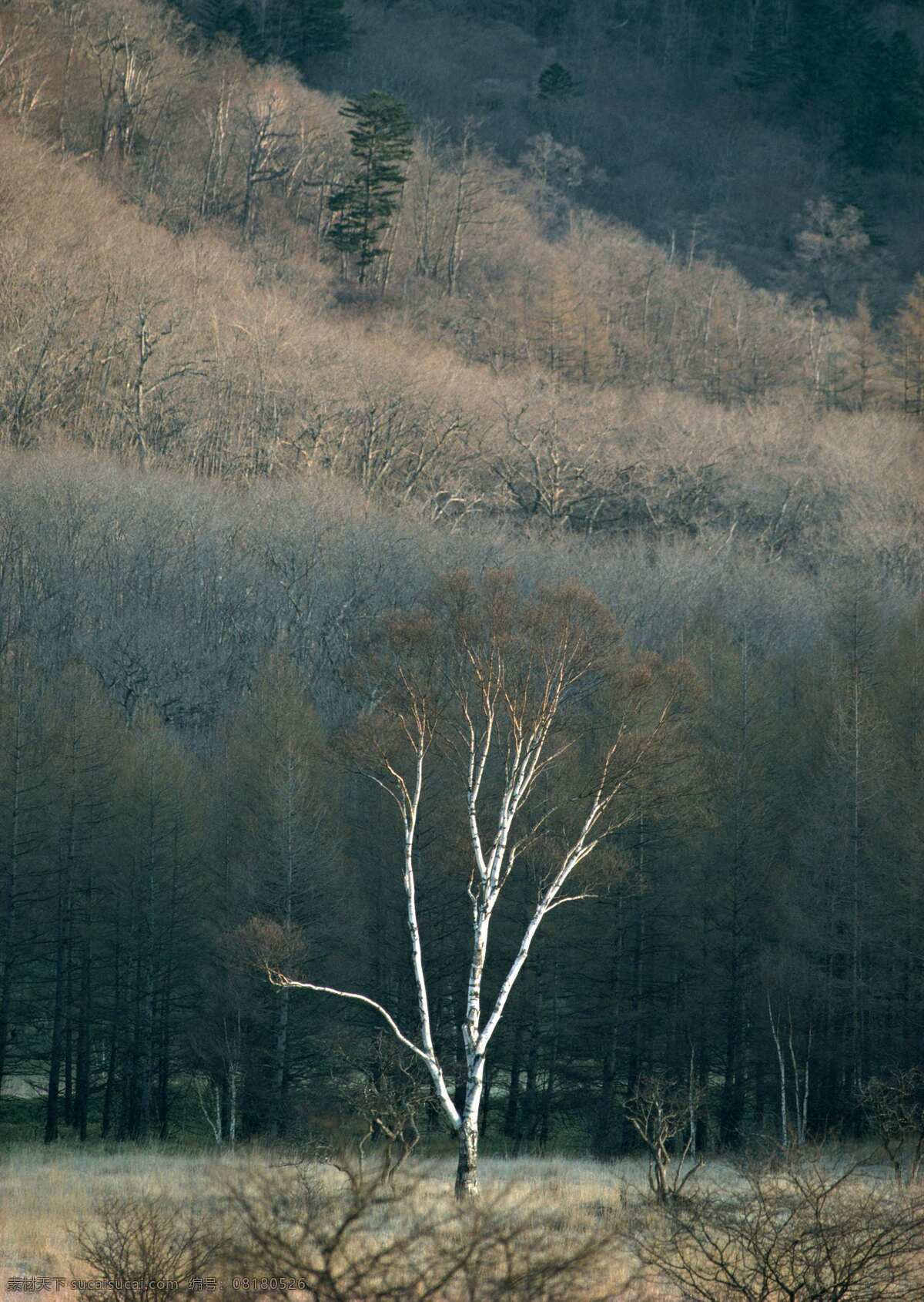 风景 剪影 景观 山水 山水风景 山水剪影 漂亮 自然 自然景观 摄影图库 psd源文件