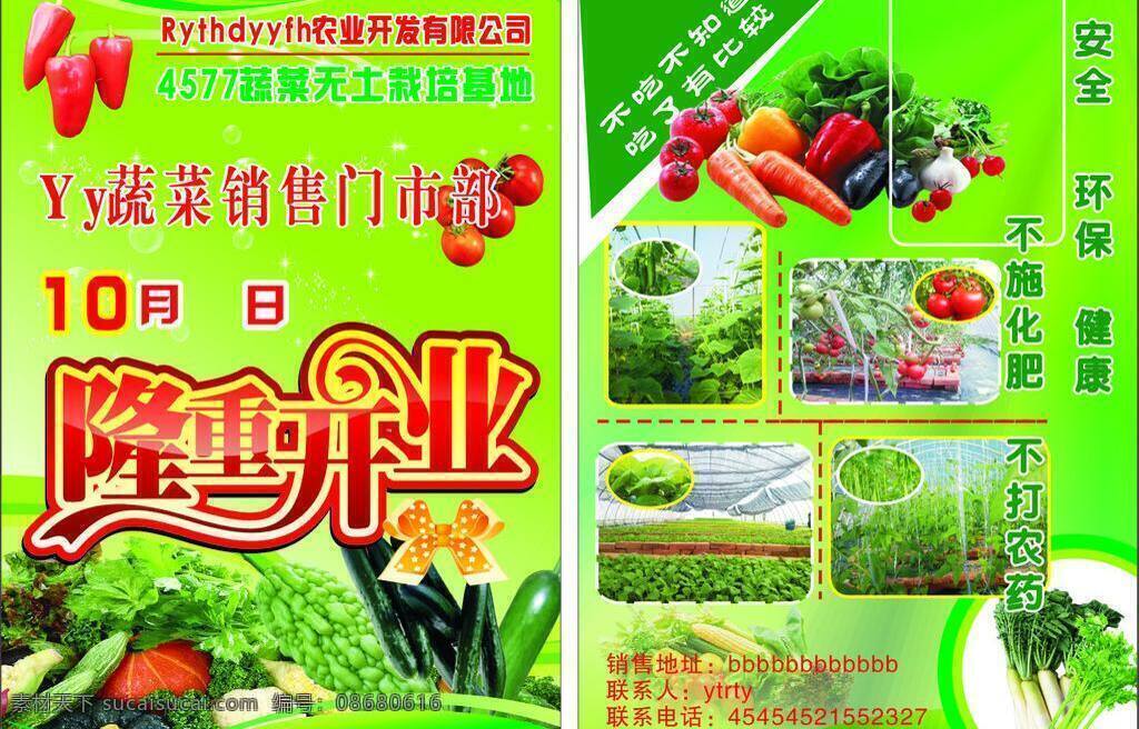 蔬菜 宣传页 超市促销海报 蔬菜宣传单 新鲜蔬菜 蔬菜宣传页 隆生开业 蔬菜彩页 矢量 风景 生活 旅游餐饮