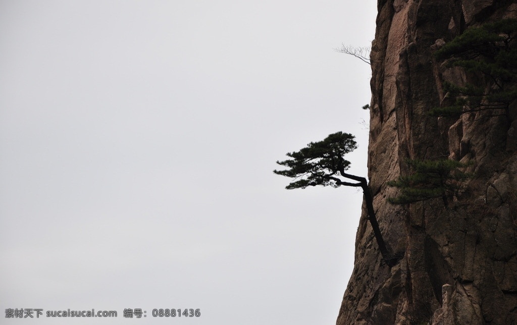 黄山 安徽黄山 岩石 风景 安徽旅游 风景名胜 自然景观 国内旅游 旅游摄影