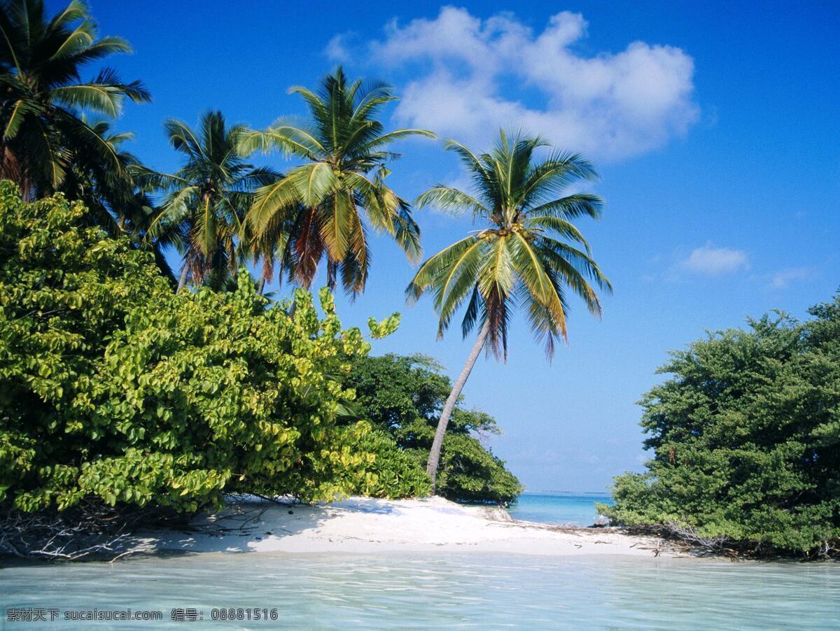 马尔代夫 马雷 北 环礁 热带 岛屿 旅游摄影 国外旅游 世界各地 自然风景 摄影图库