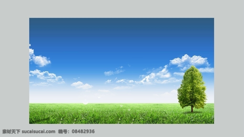 蓝天 白云 青草 展板 小树 拍照