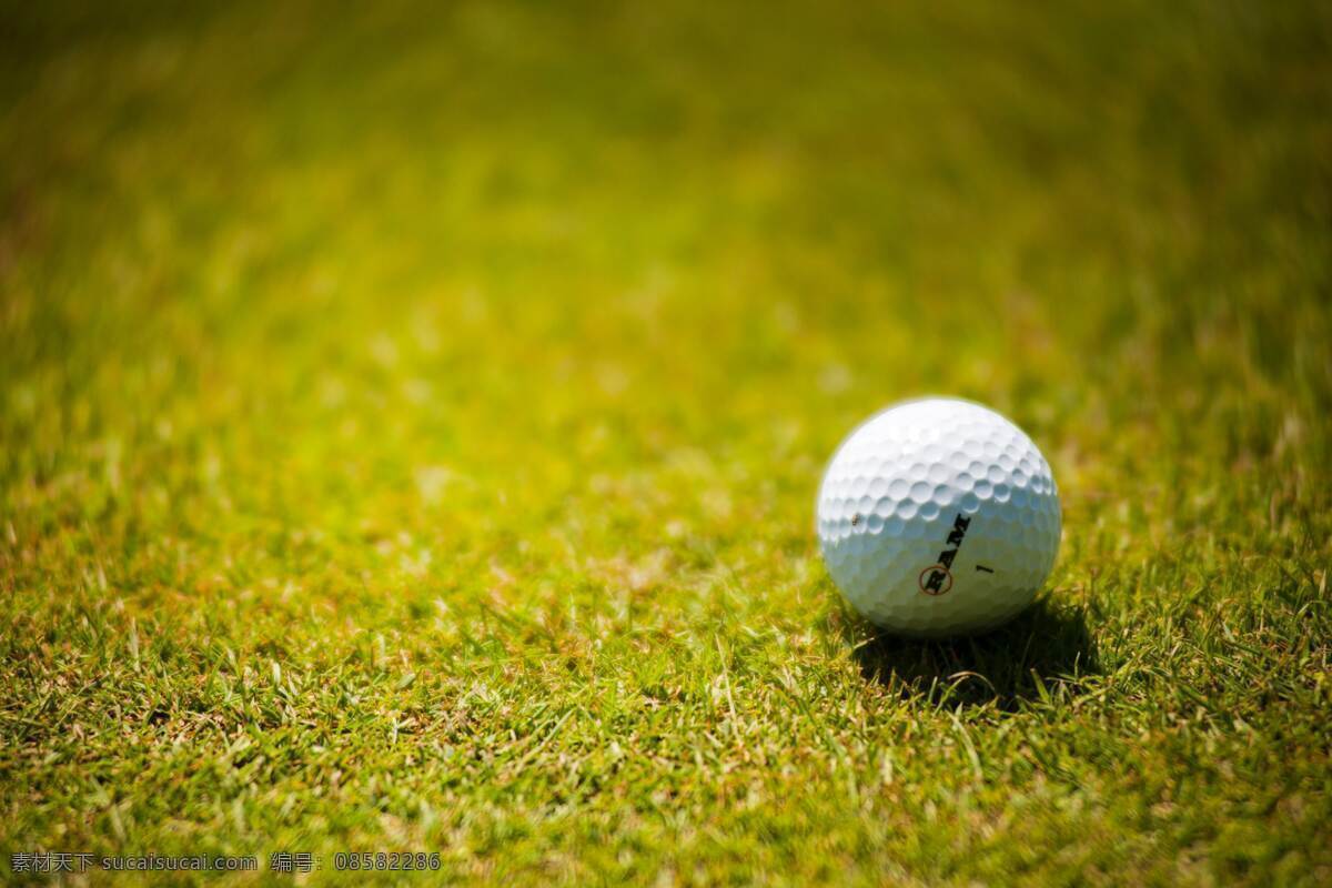 高尔夫背景图 高尔夫 运动 高雅 草地 草坪 背景 摄影图