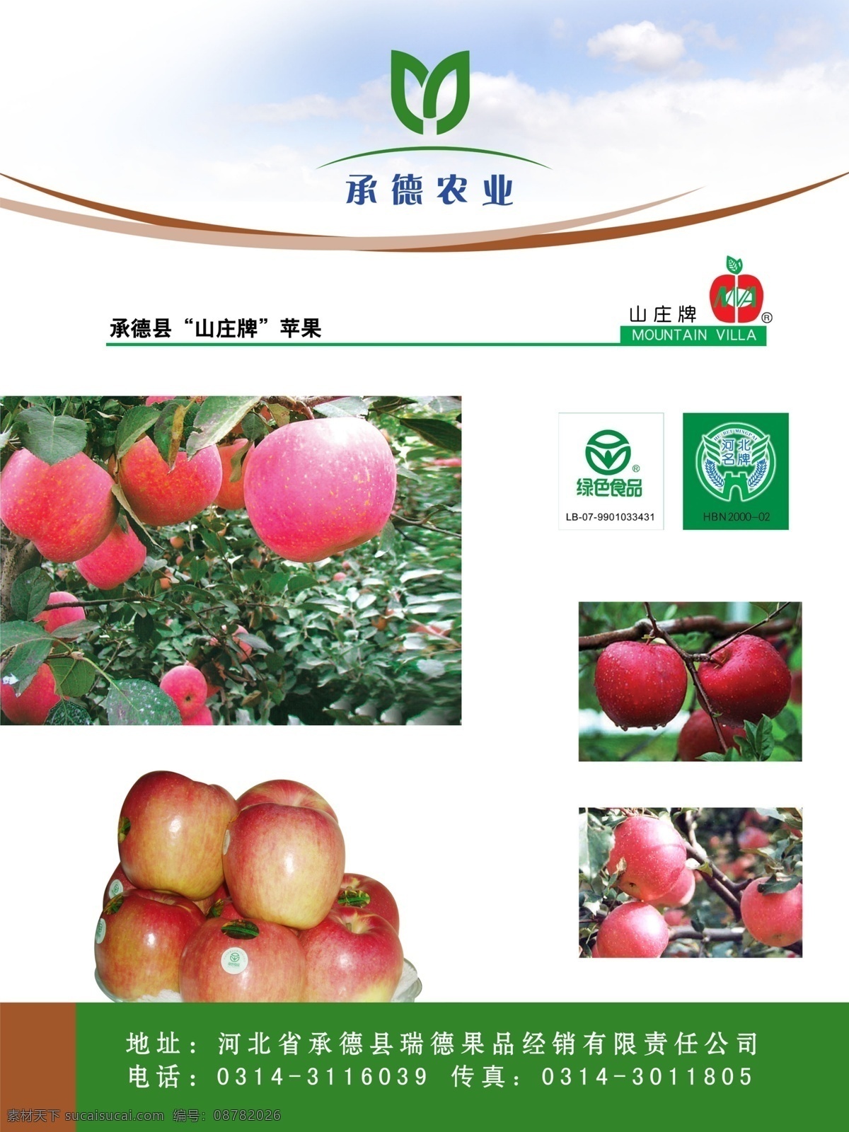 苹果宣传单 苹果 农业 绿色产业 绿色 红苹果 dm宣传单 乡镇企业事业