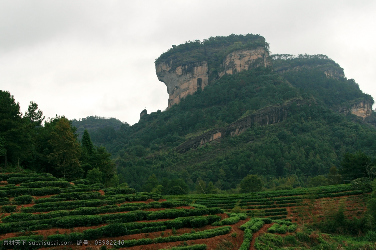 武夷山大王峰 武夷山 大王峰 丹霞地貌 福建 山水 风景名胜 世界遗产 国内旅游 旅游摄影