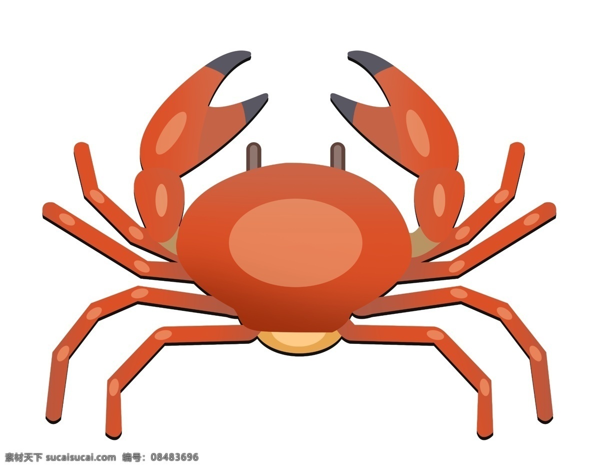红色螃蟹动物 红色 螃蟹 虾蟹