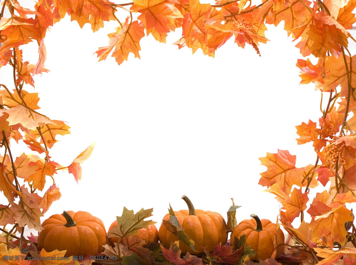 秋天 树叶 矢量 场景 南瓜 web 背景 插画 创意 框架 免费 病 媒 生物 时尚 独特的 原始的 高质量 图形 质量 新鲜的 设计新的 叶 秋天的叶子 psd源文件