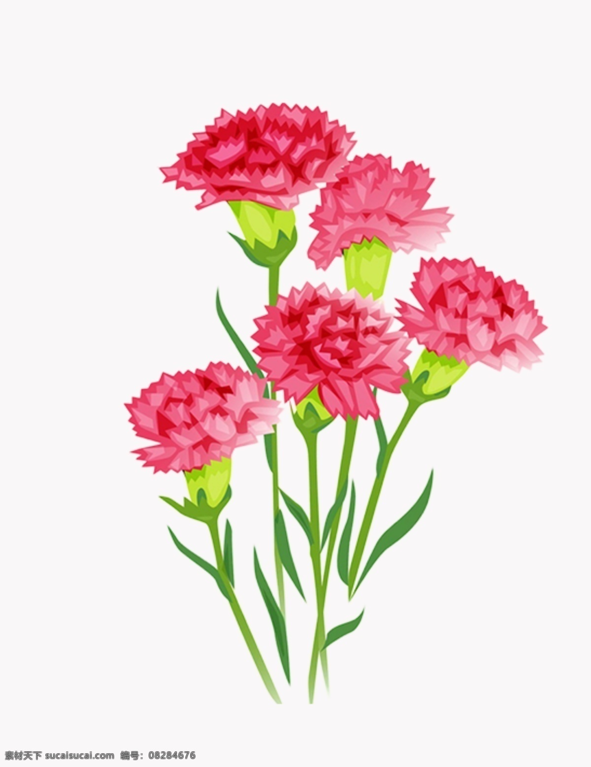 花朵 红色花朵 粉色花朵 植物 春天 标识 生物世界 花草