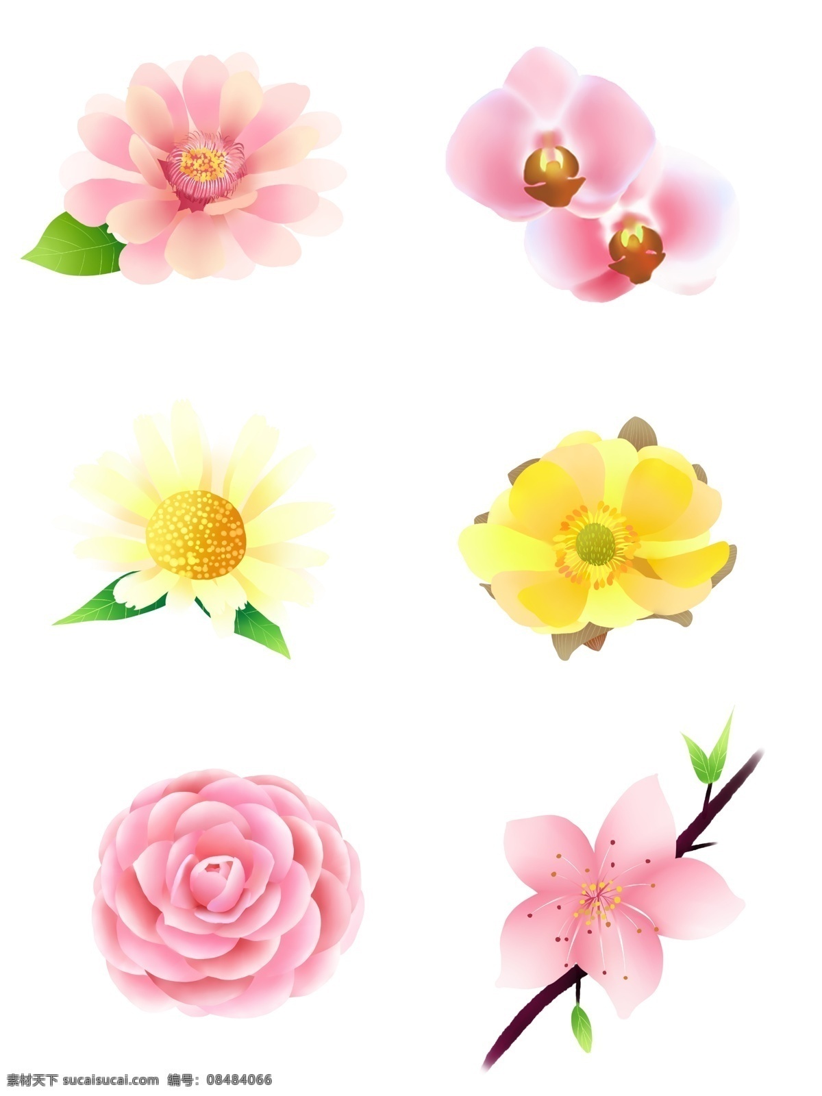 原创 小 清新 简约 梦幻 手绘 风 花朵 小清新 粉色 黄色 叶子 装饰图案 手绘花朵