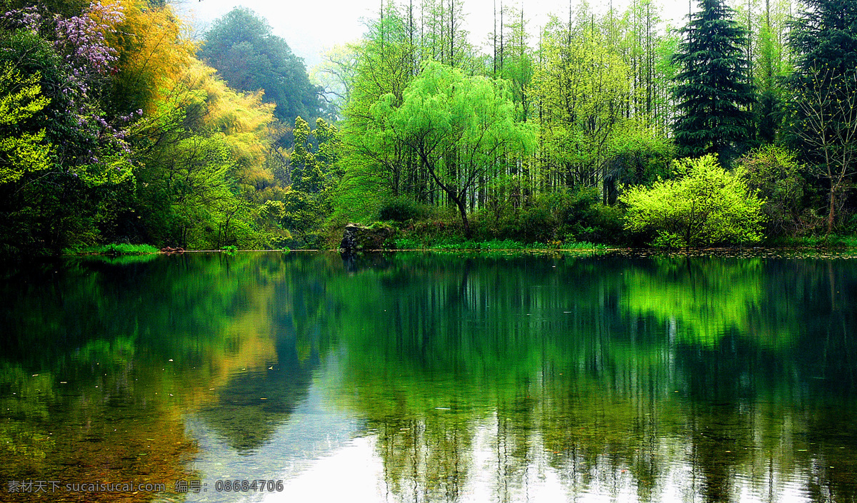 树免费下载 风景 绿色 山水风景 摄影图 树 植物 自然景观 水 家居装饰素材 山水风景画