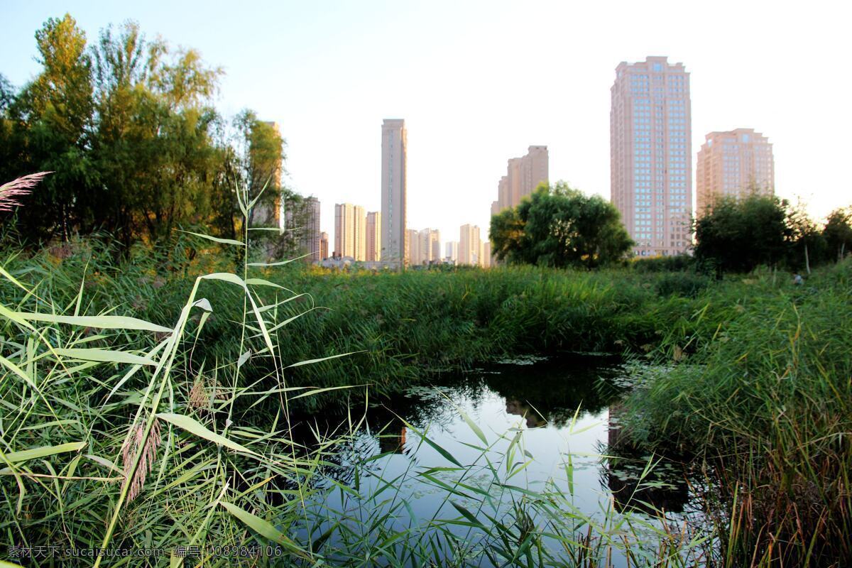湿地 湿地公园 公园 湖水 芦苇 倒影 沼泽地 蓝天 白云 哈尔滨风景 旅游摄影 国内旅游