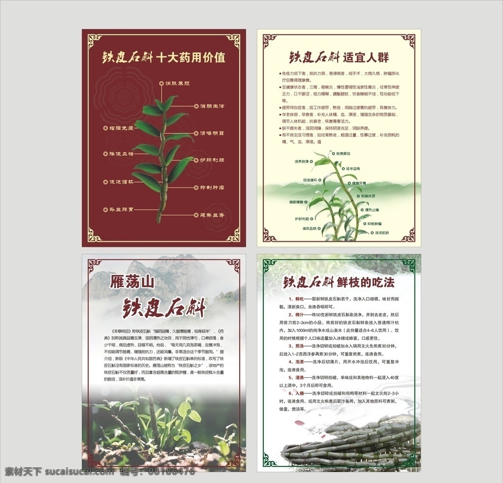 铁皮石斛 药用价值 铁皮石斛鲜枝 鲜枝的吃法 铁皮石斗 雁荡山铁皮 雁荡山 药品牌子 药品价值