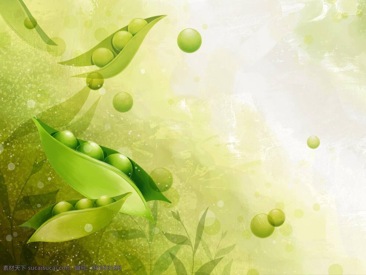 豌豆 绿色 绿色背景 白色