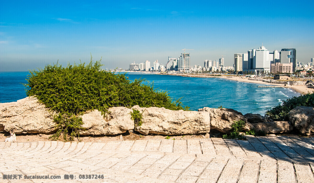 巴勒斯坦风景 以色列风景 城市风景 建筑风景 美丽风景 旅游景点 城市风光 环境家居 建筑设计 白色