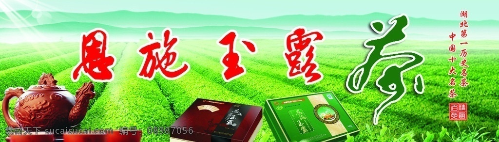 玉露茶 湖北 历史 名茶 中国十大名茶 湖北恩施 玉露 茶 矢量
