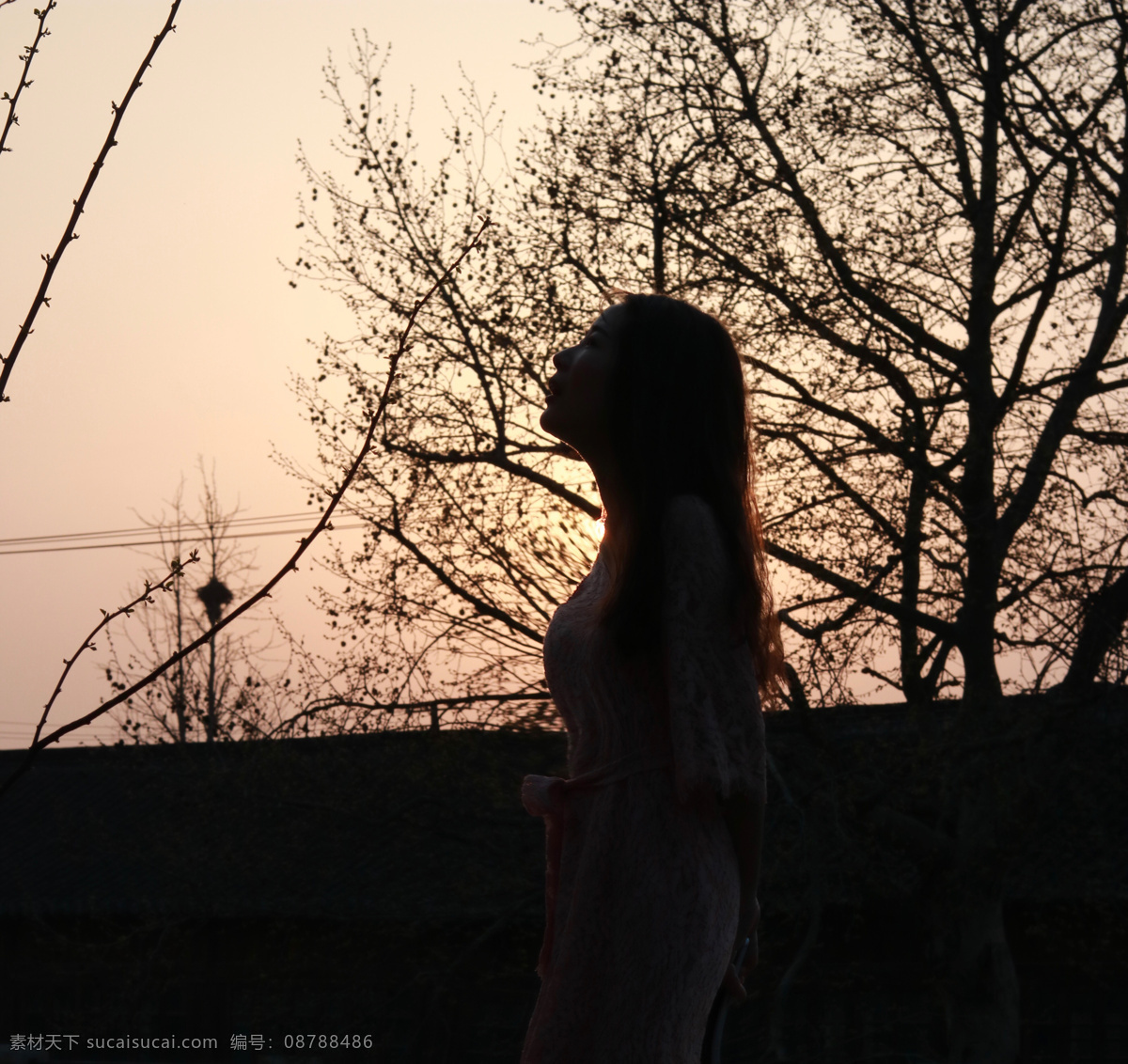 夕阳下的身影 夕阳 身影 树枝 女生 逆光 人物图库 女性女人