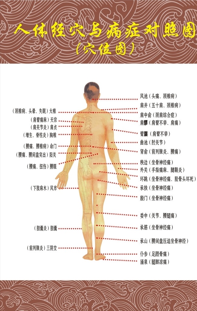 穴位图 人体经穴 病症对照 养生保健 男性背部图 白色