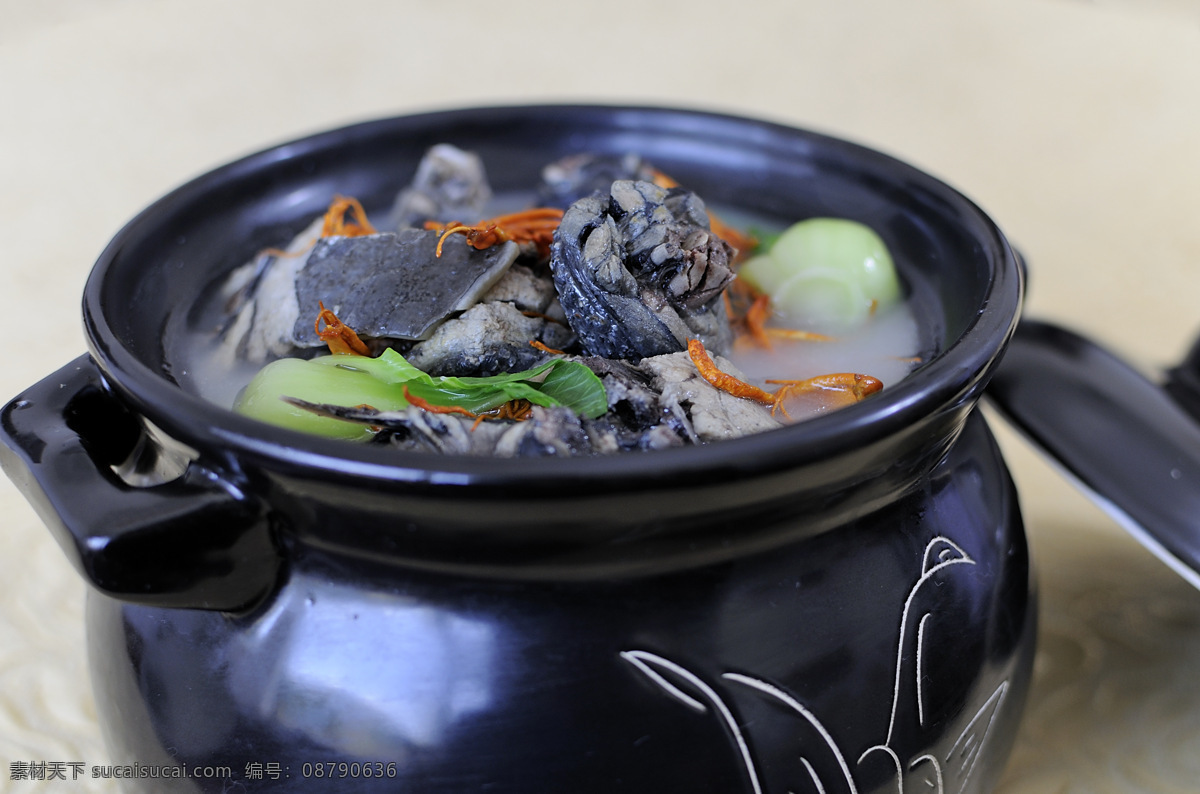 菜谱 菜谱图片 餐饮美食 传统美食 甲鱼 乌鸡 画册 菜单 封面