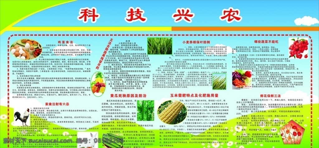 科技兴农 农业 展板 蓝天 白云 绿草地 鲜花保鲜 农业知识 去农药 鸡蛋食法 矢量
