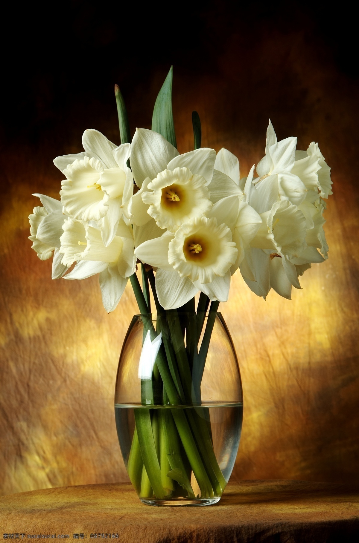 白色水仙 白色 水仙 花瓶 鲜花 花瓣 水 近物 花草 生物世界
