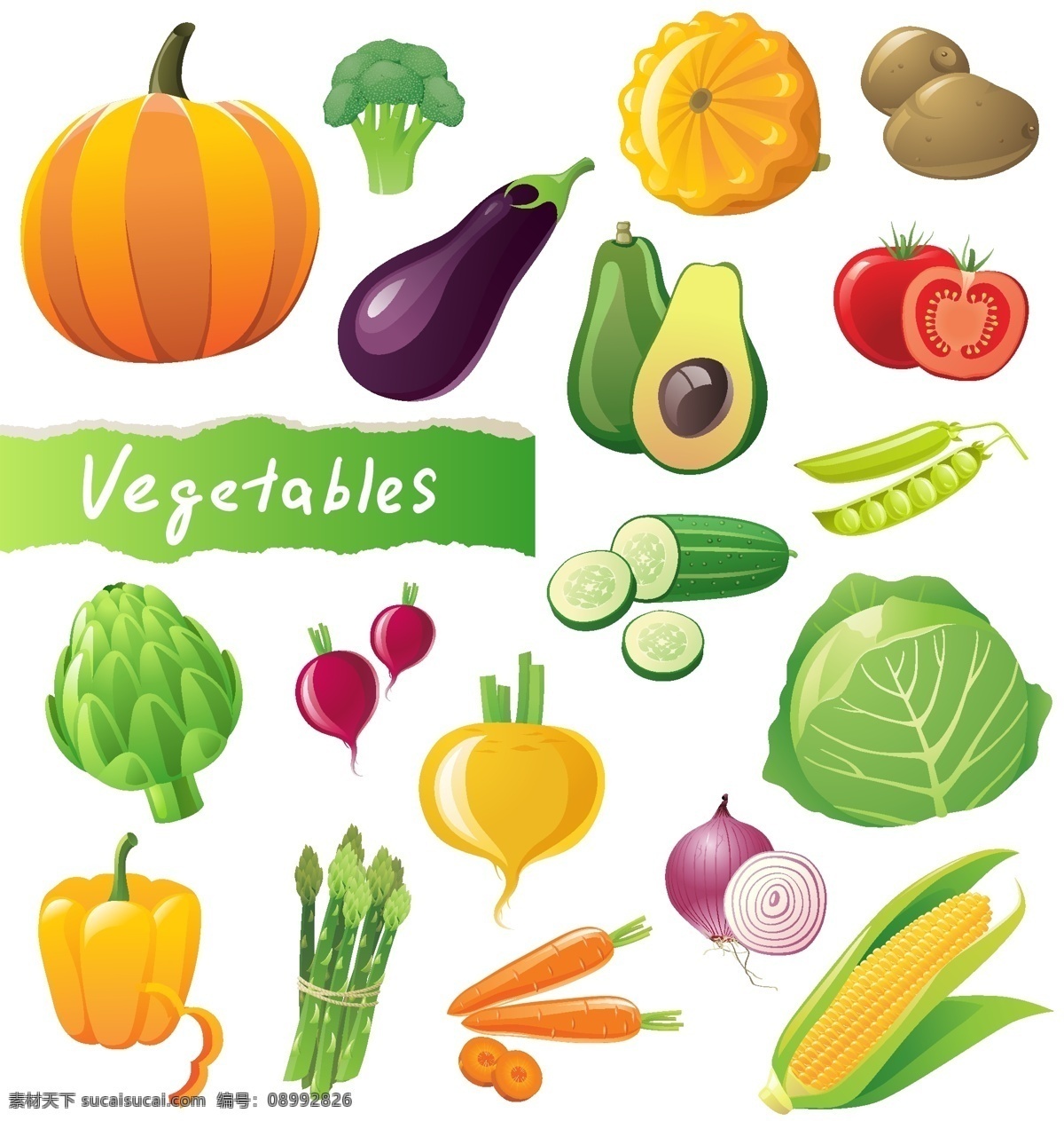 蔬菜矢量素材 蔬菜 南瓜 花菜 茄子 土豆 黄瓜 辣椒 包菜 胡萝卜 玉米 矢量素材