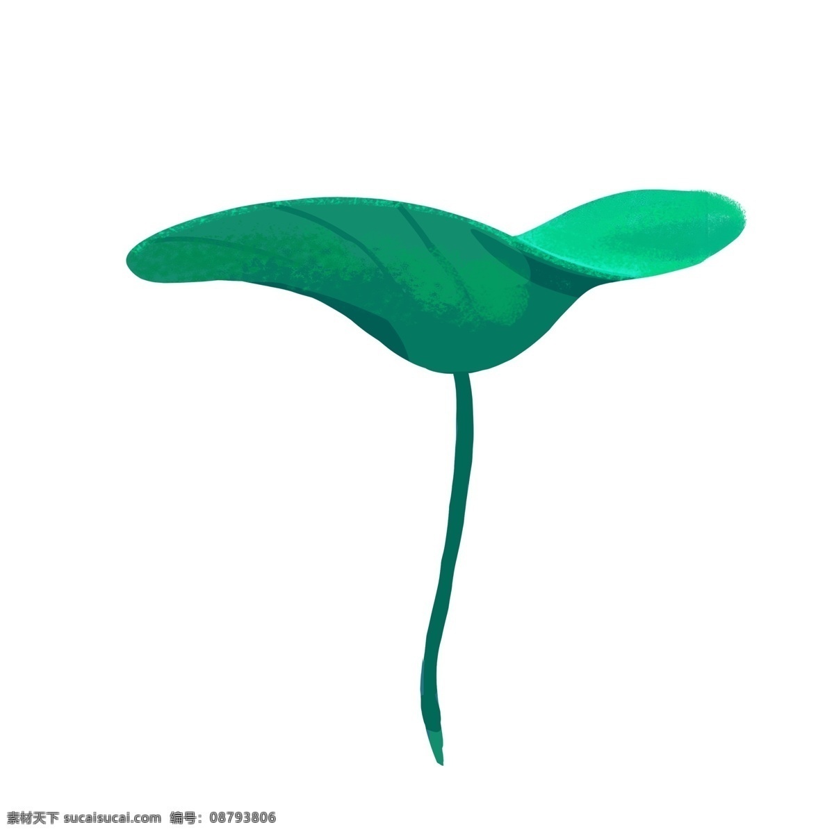 一个 精美 细致 荷叶 免 扣 绿色植物 绿植 免扣 精美的荷叶 细致的荷叶 绿色的荷叶