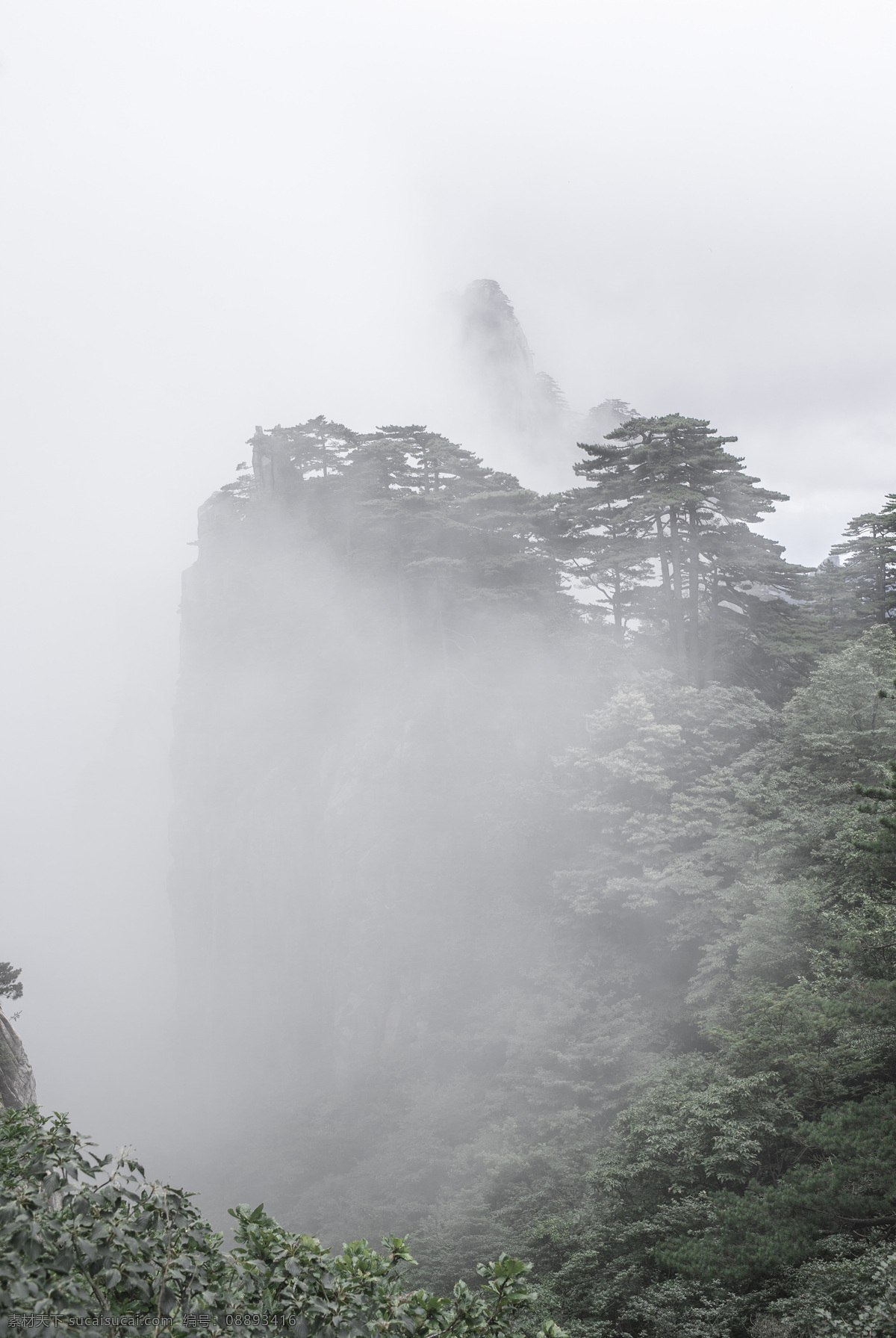 水墨黄山 黄山 迎客松 安徽 群山 水墨 烟雨 云雾 自然景观 自然风景